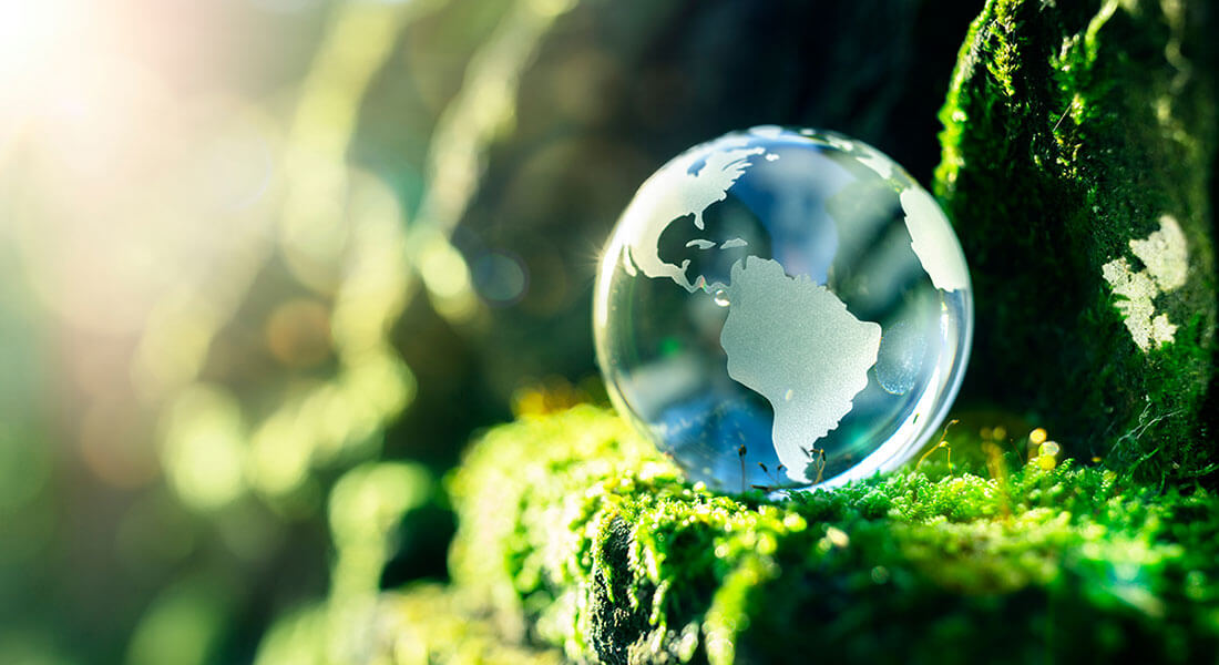 Glass globe in nature concept for environment
